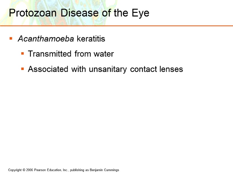 Protozoan Disease of the Eye Acanthamoeba keratitis Transmitted from water Associated with unsanitary contact
